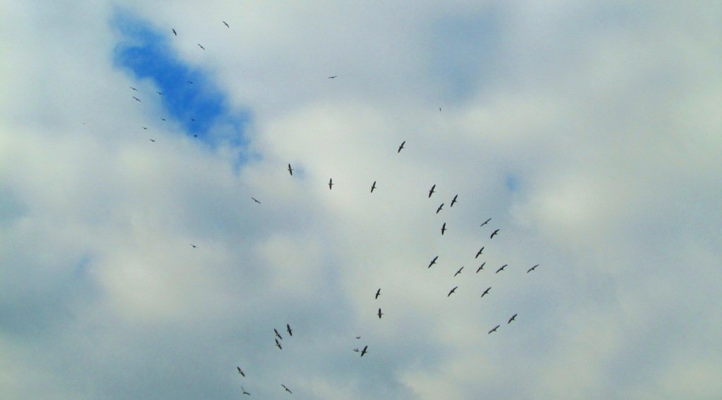 IMG_8792web